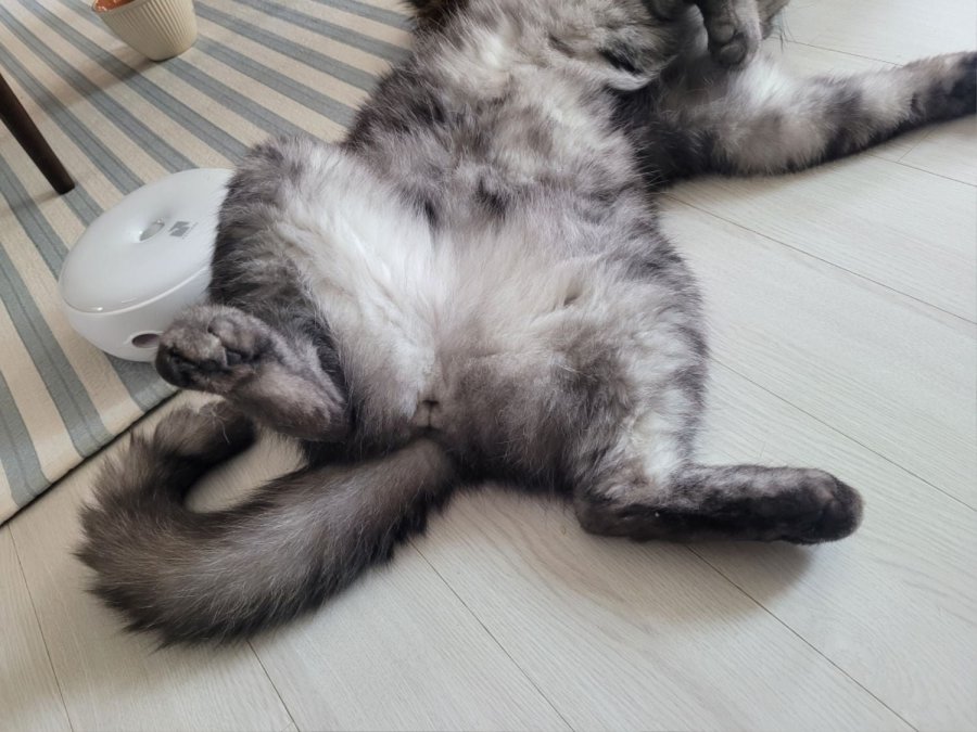 츮 