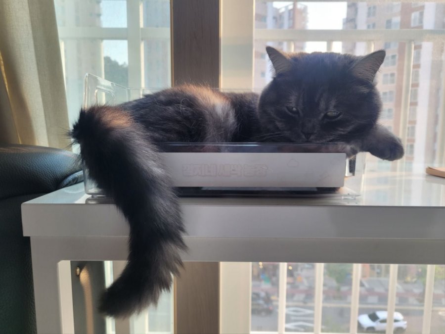 츮 