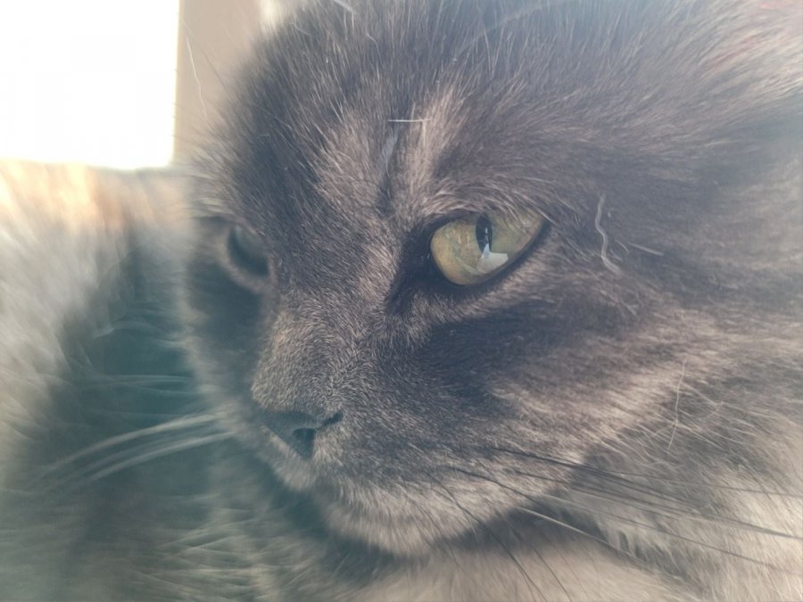 츮 