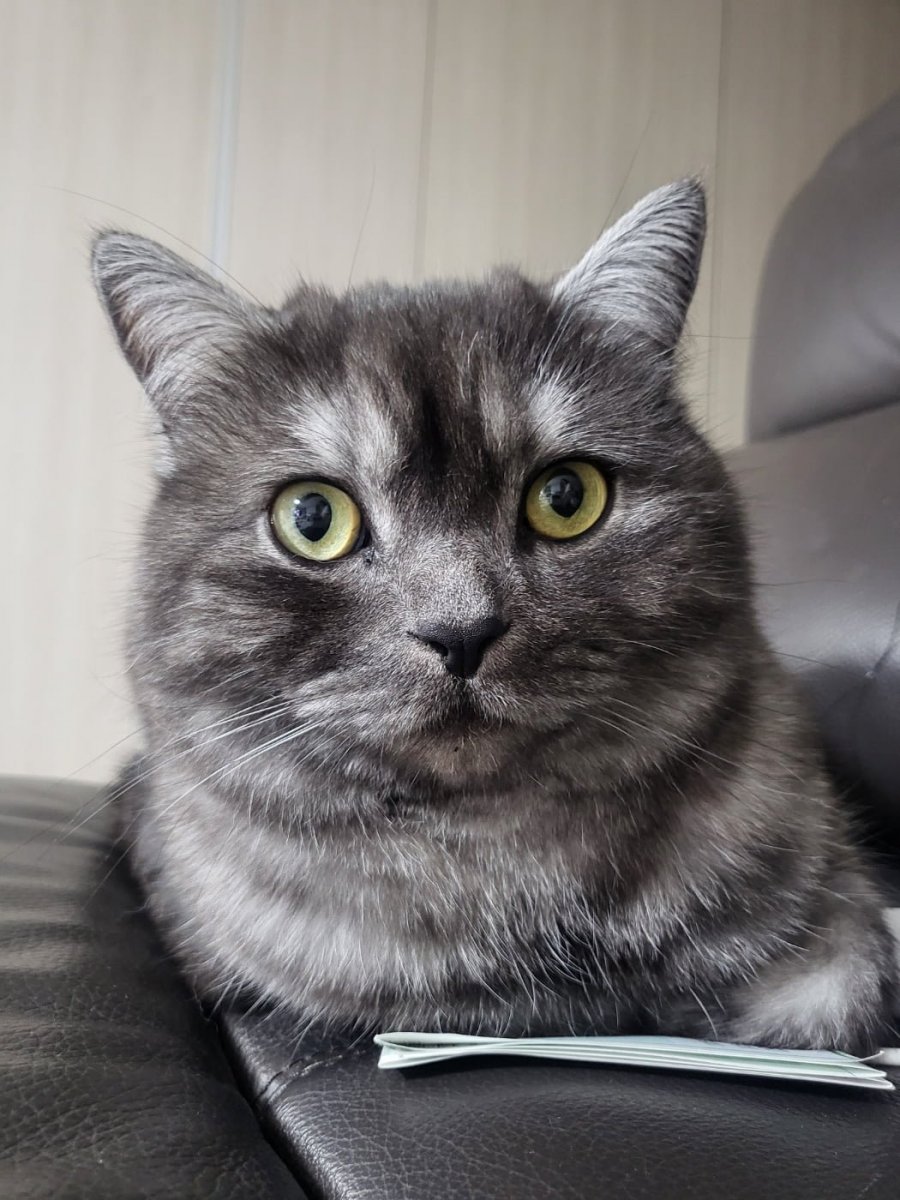 츮 