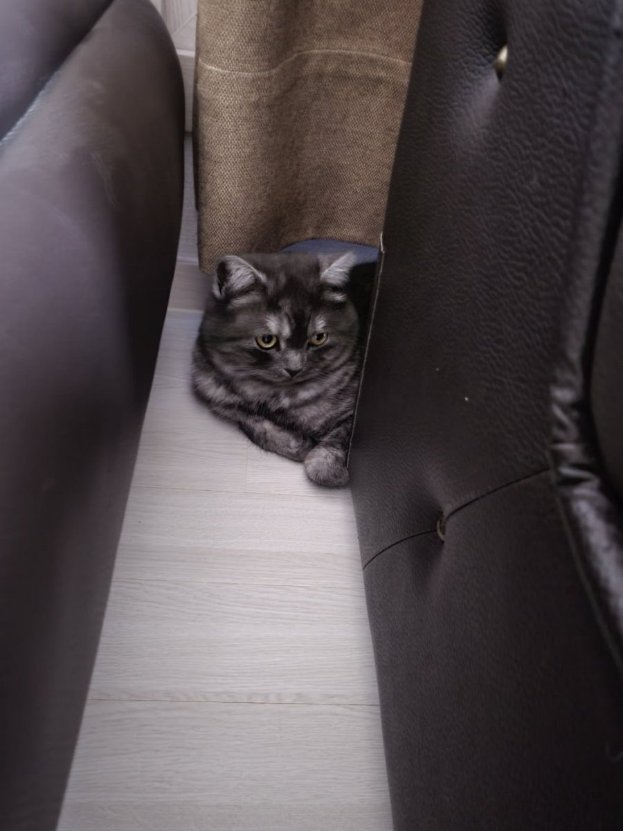 츮 