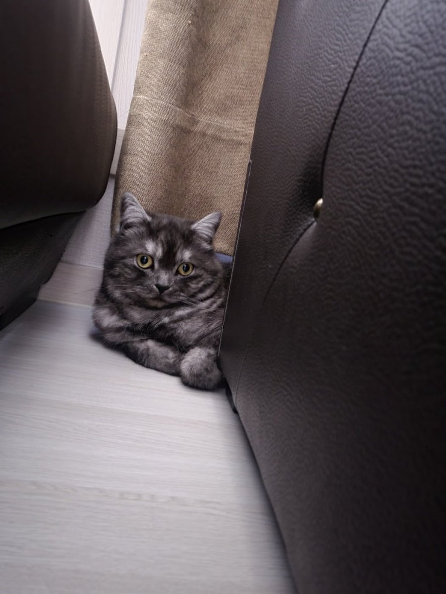 츮 