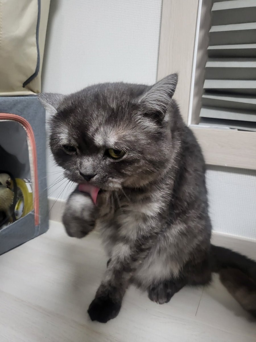 츮 