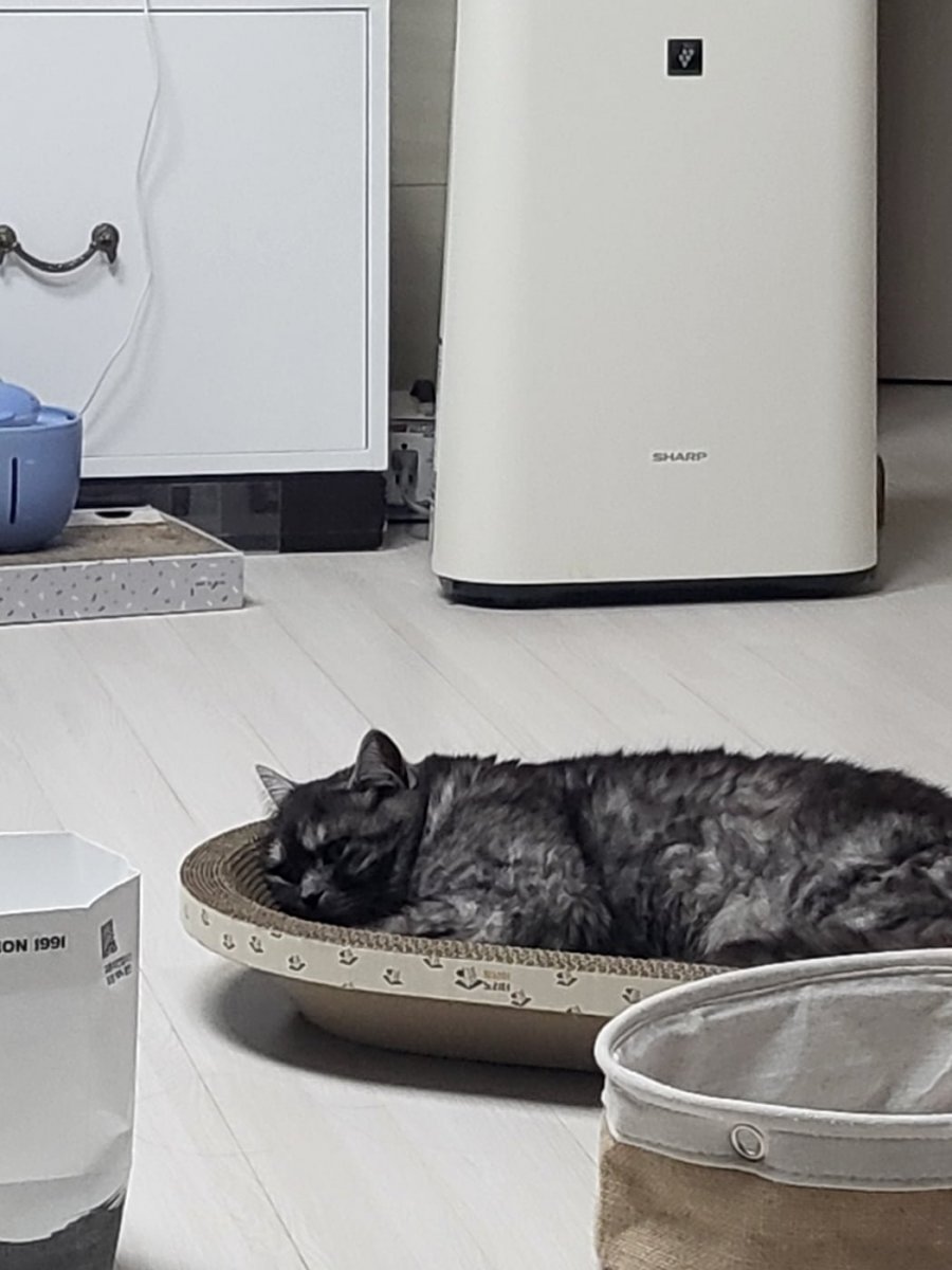 츮 