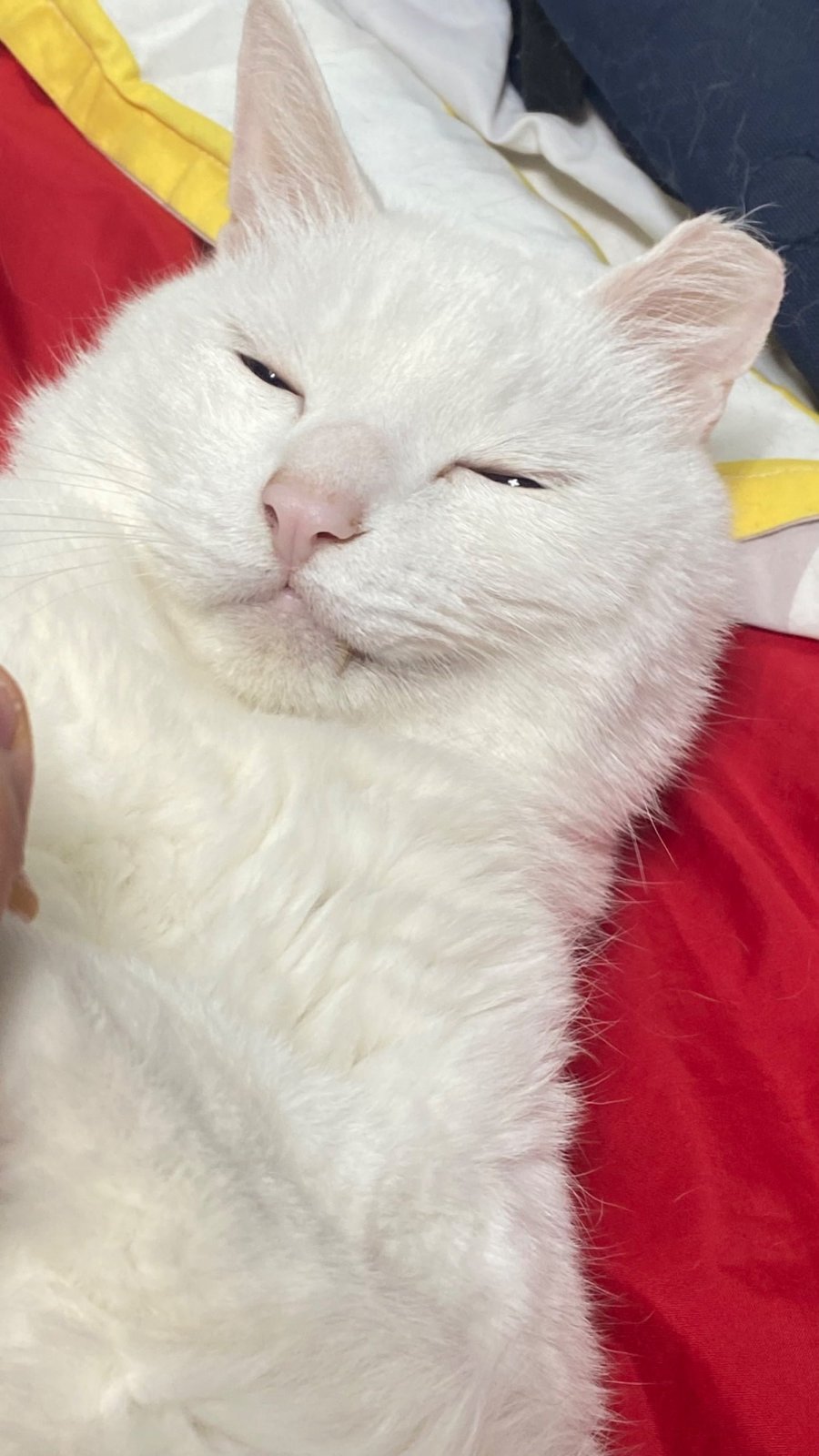 ° 