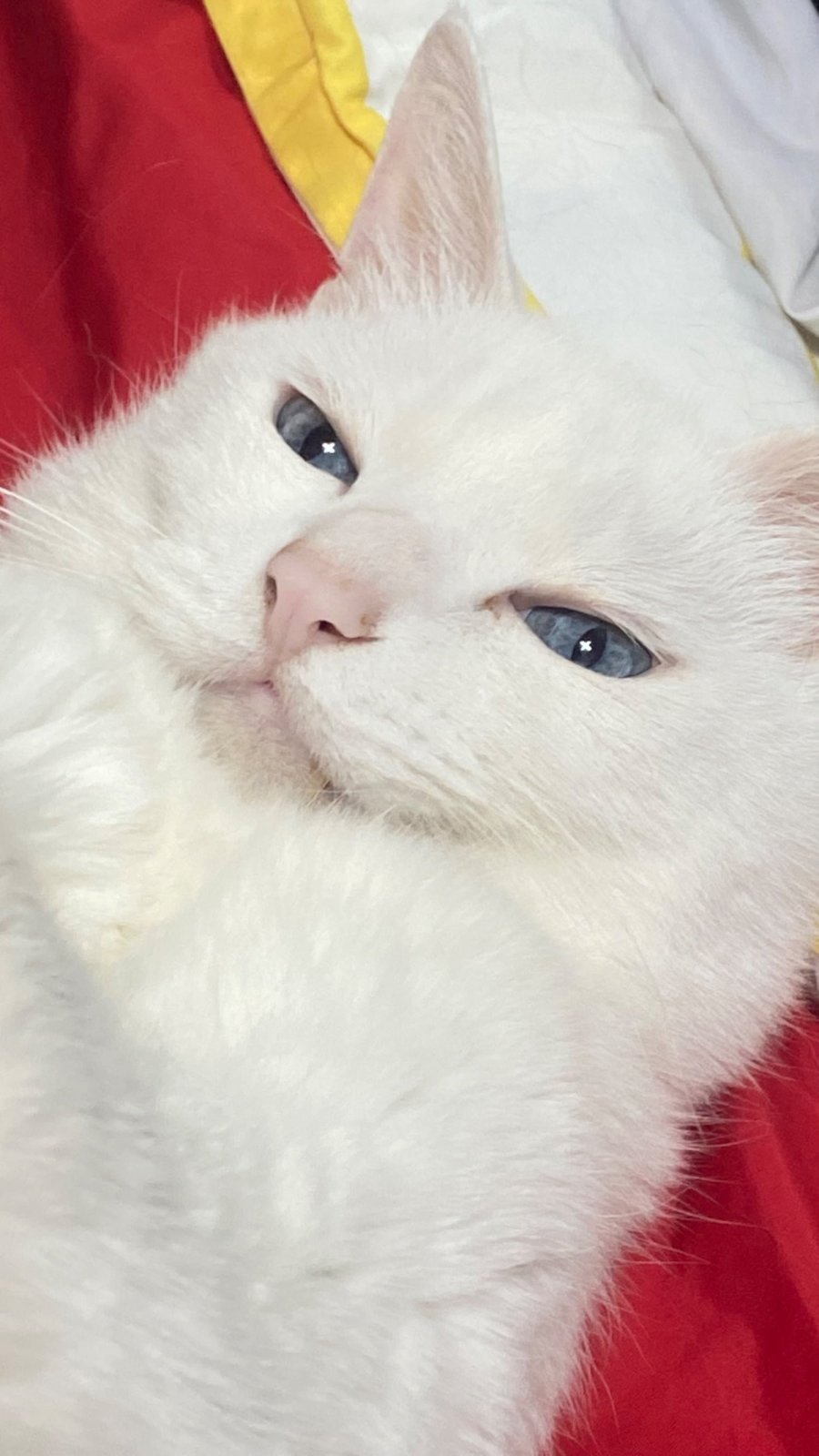 ° 