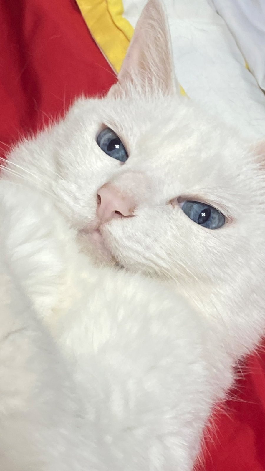 ° 