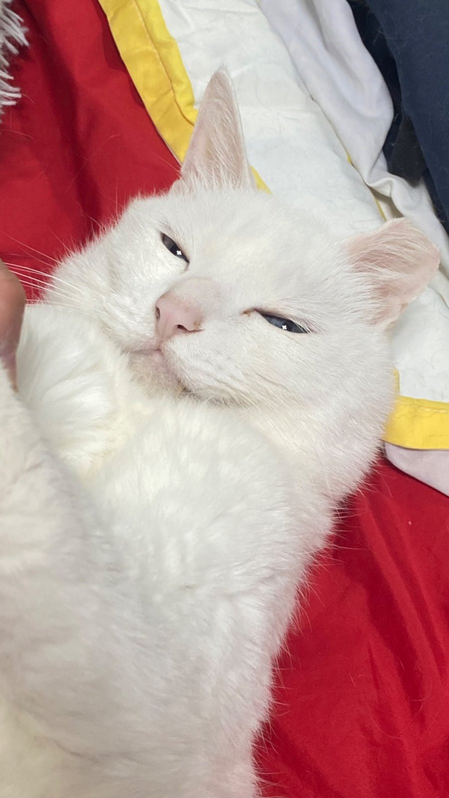 ° 