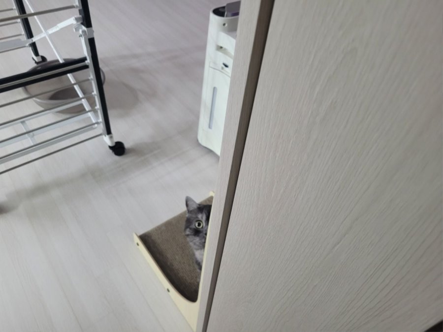 츮 