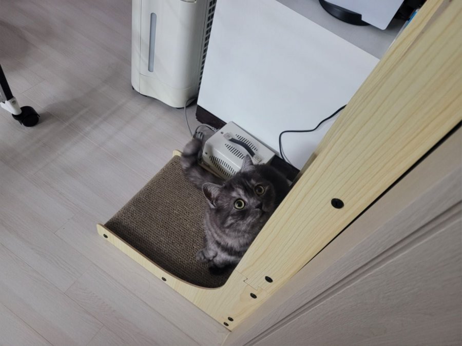츮 