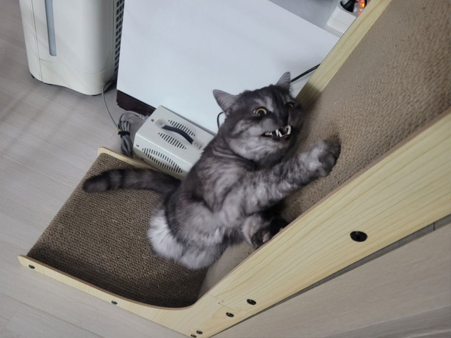 츮 