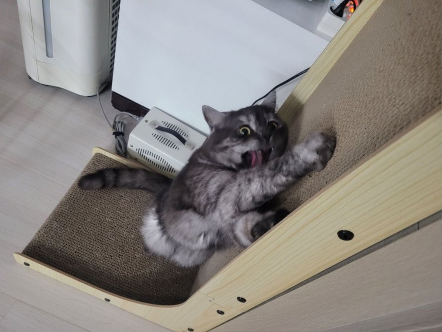 츮 
