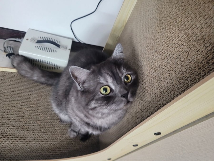 츮 