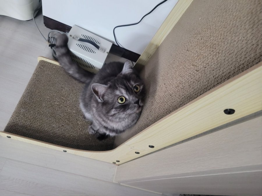 츮 