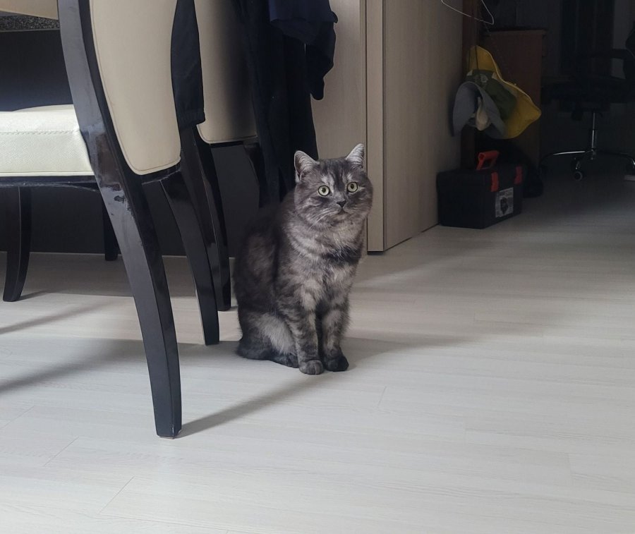 츮 