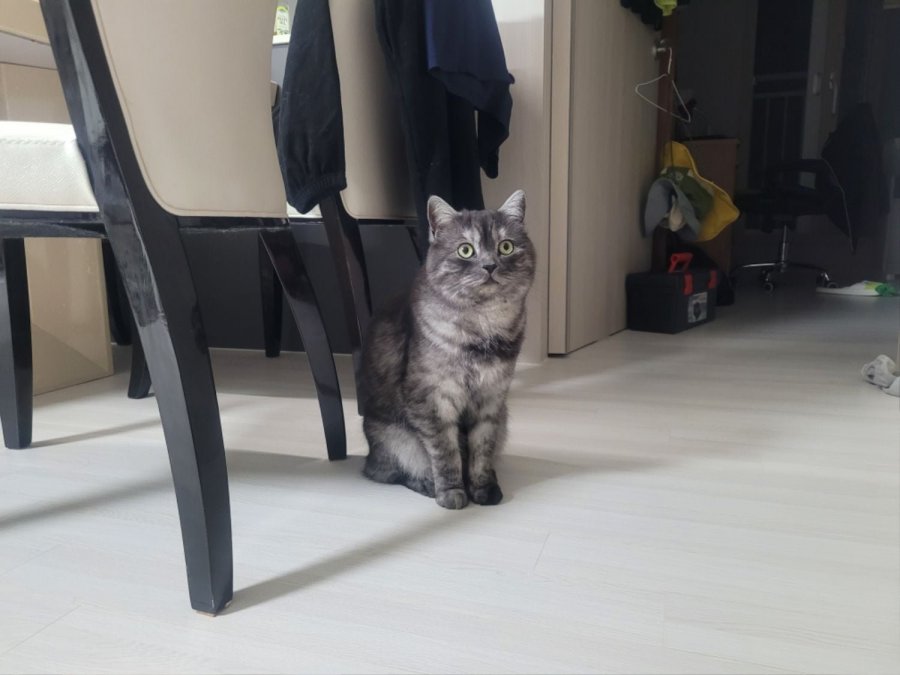 츮 
