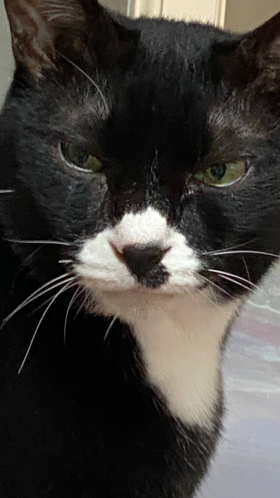   ļ 