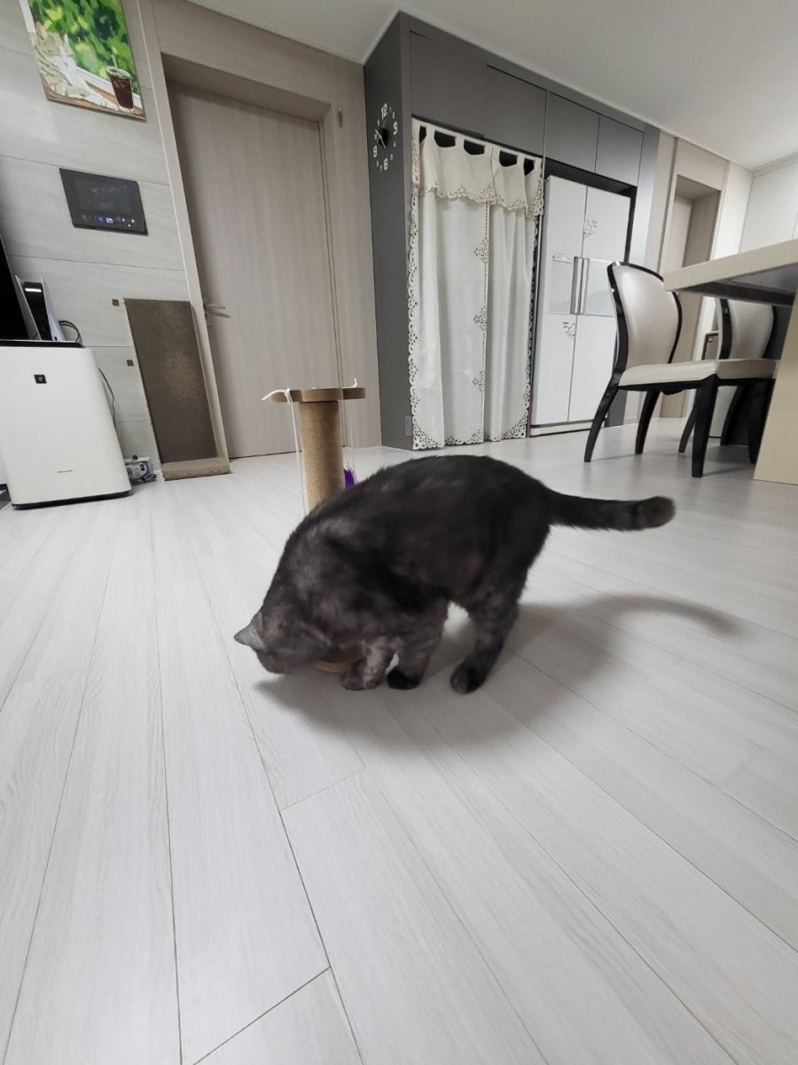 츮 