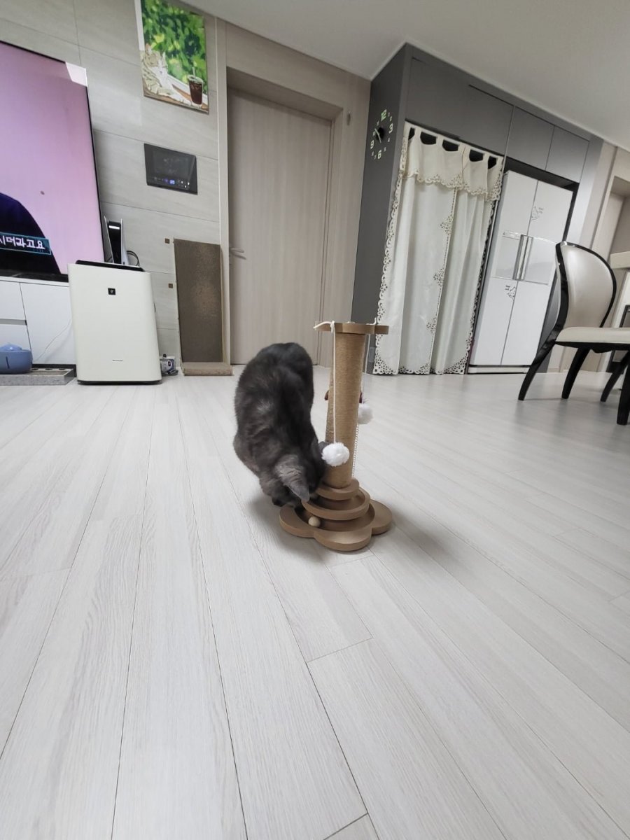 츮 