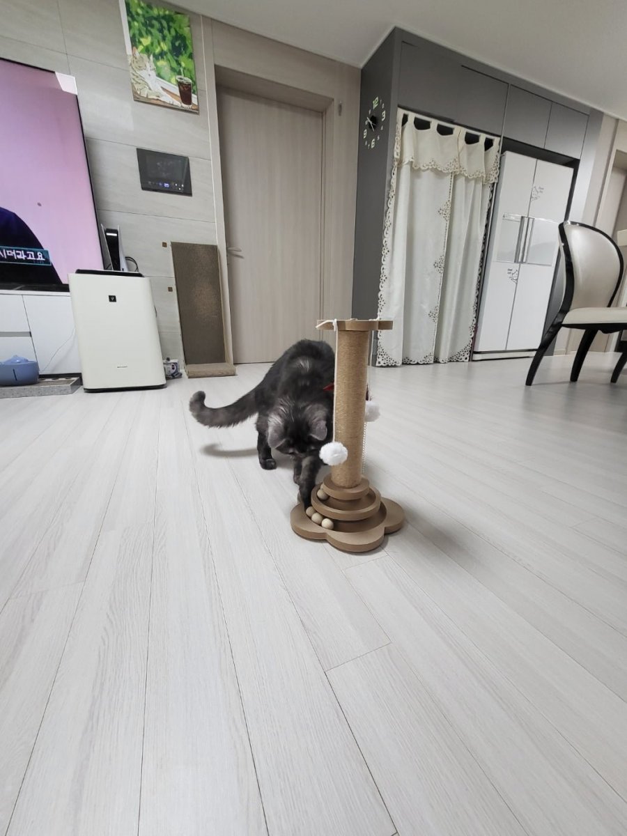츮 