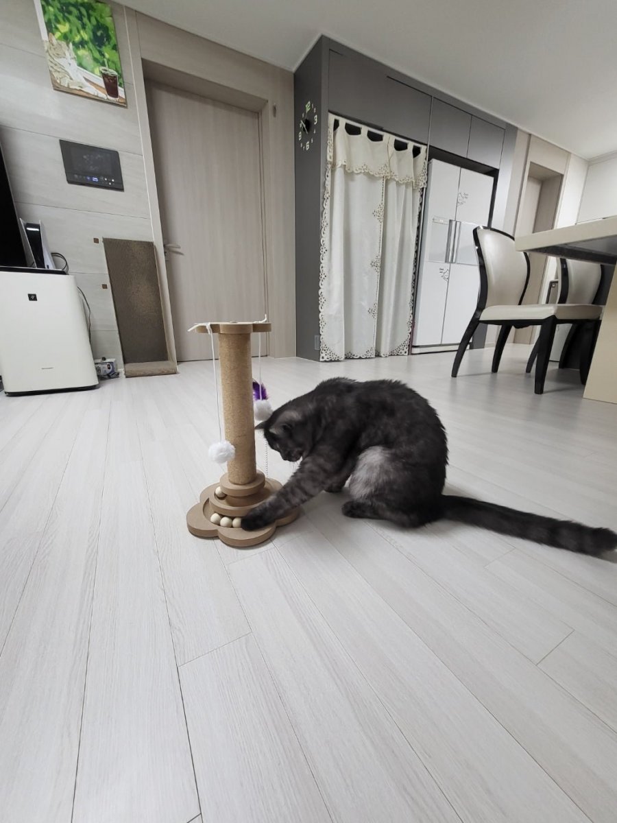 츮 