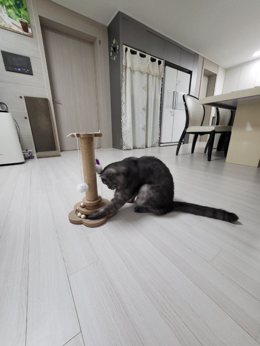 츮 