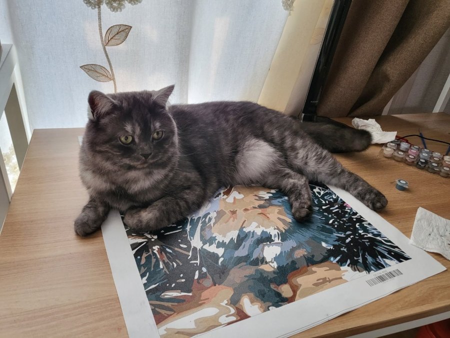 츮 