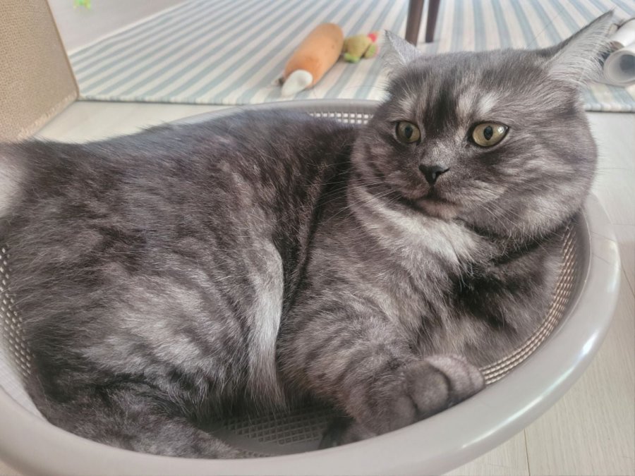 츮 