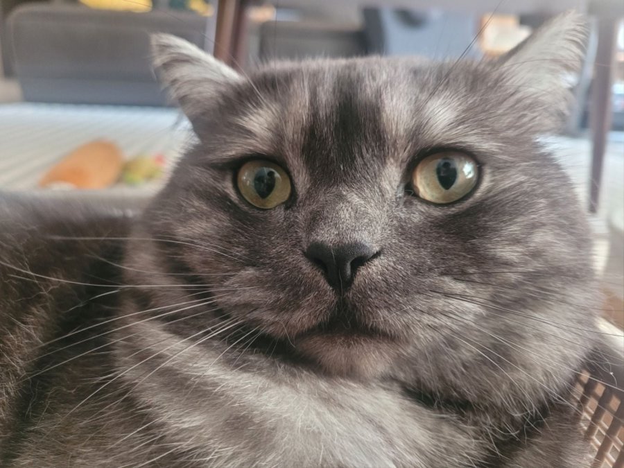츮 