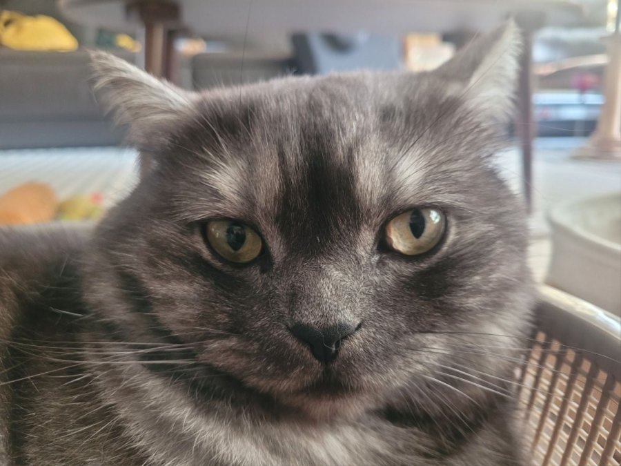 츮 