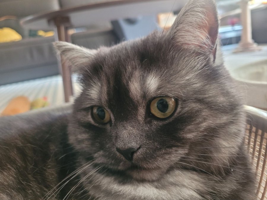츮 