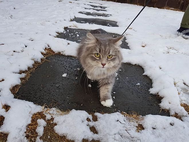 ε  ú  ȣ 