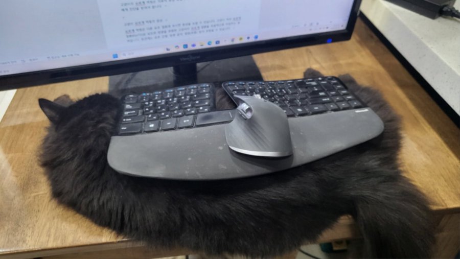 õ ȭο ú  Ӷ
