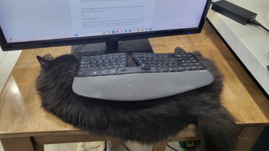 õ ȭο ú  Ӷ