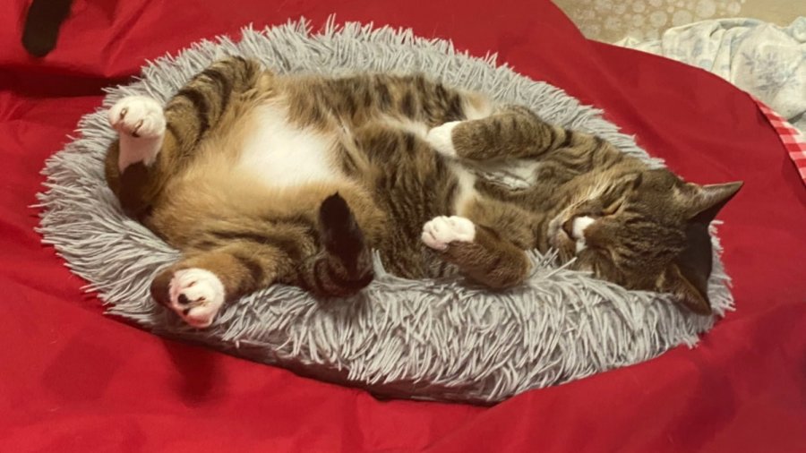 ڴ° ٳ