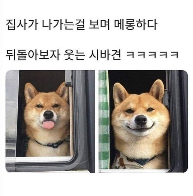 20250630213617_BBIgSA28gt.png