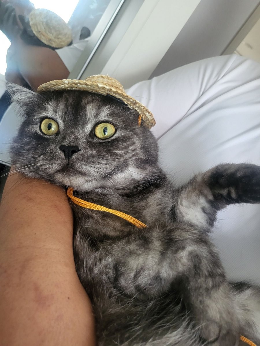 츮 