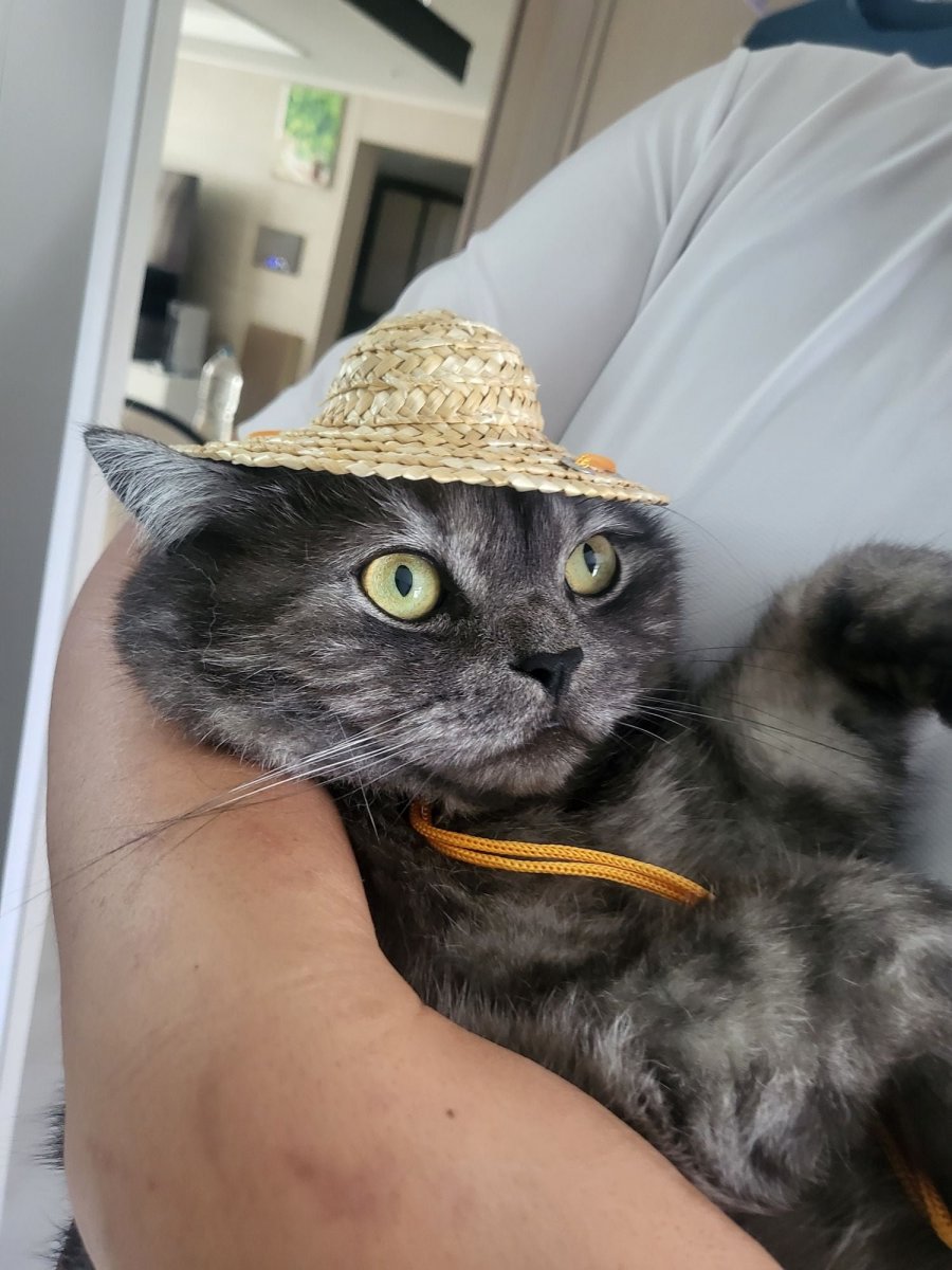 츮 