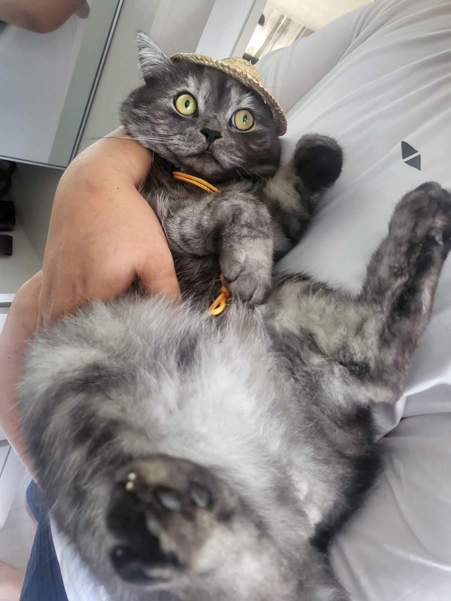 츮 