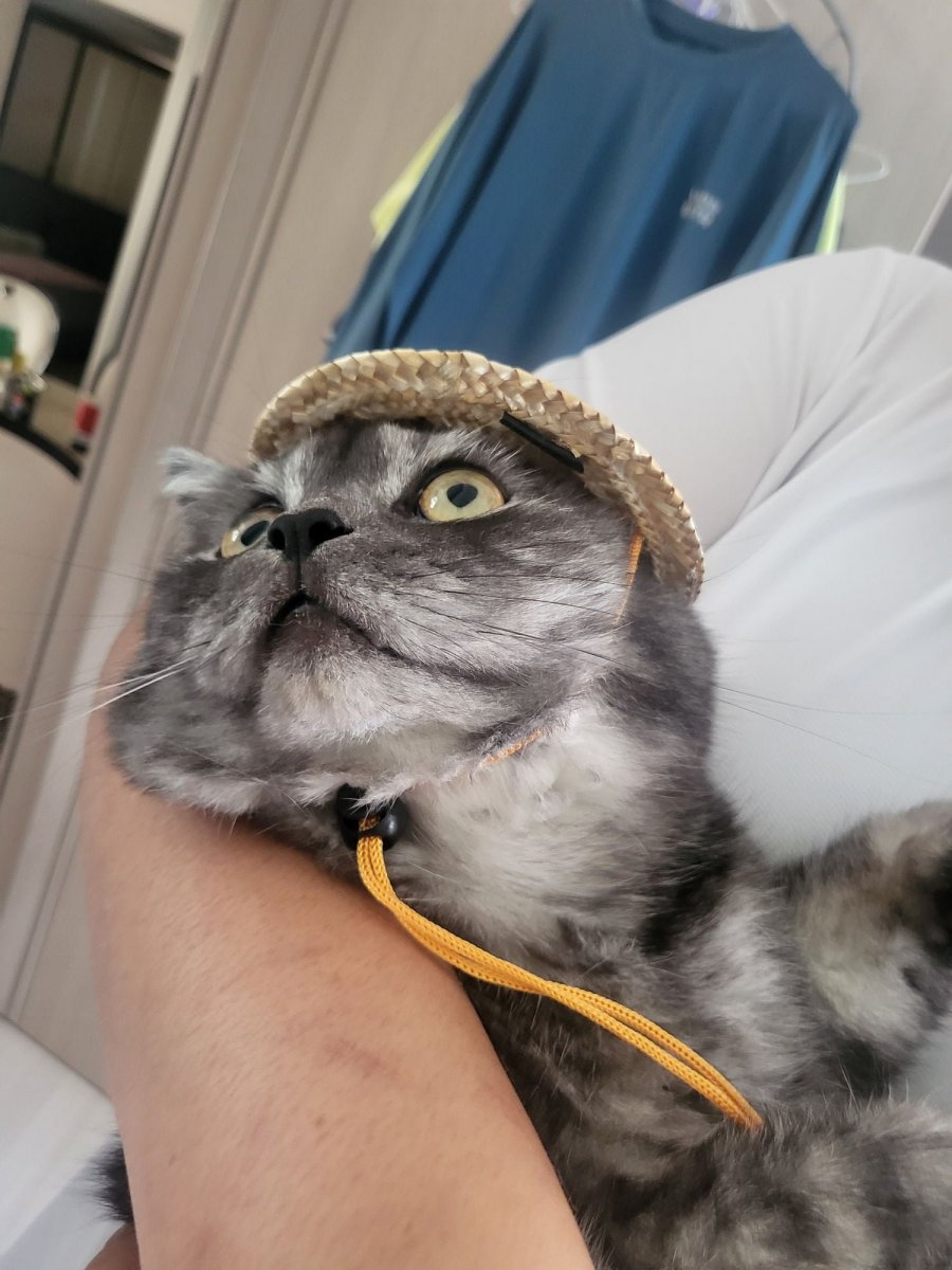 츮 