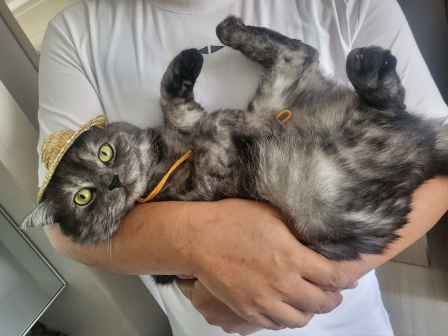츮 