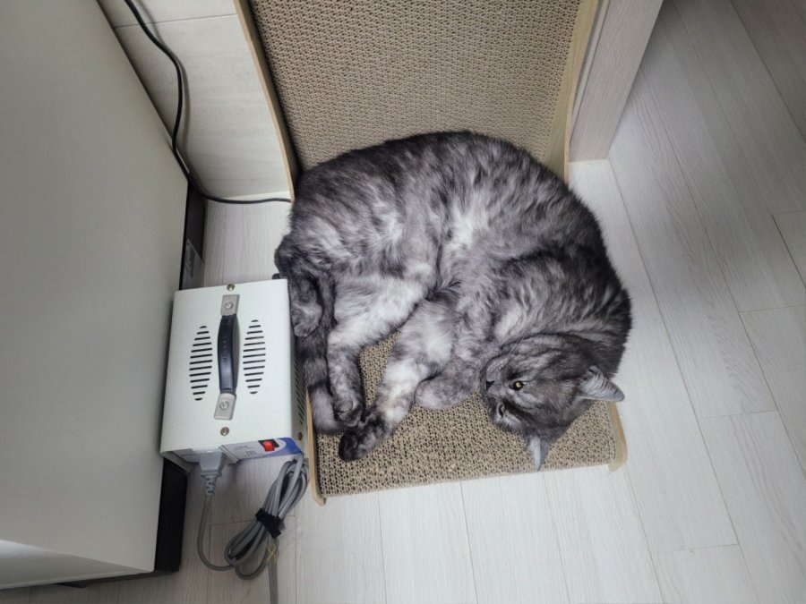 츮 
