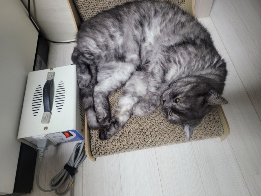츮 
