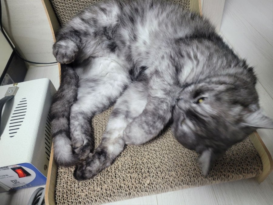 츮 