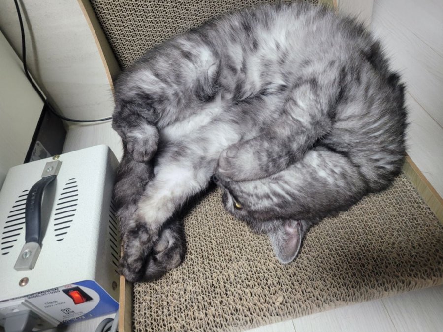 츮 