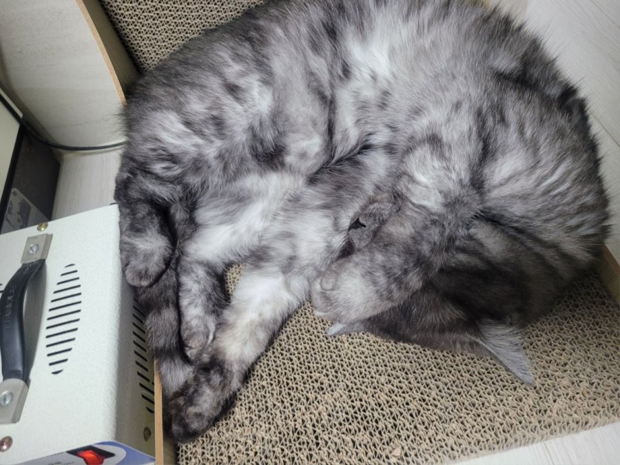 츮 