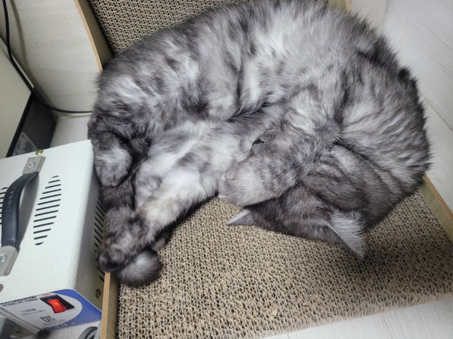 츮 