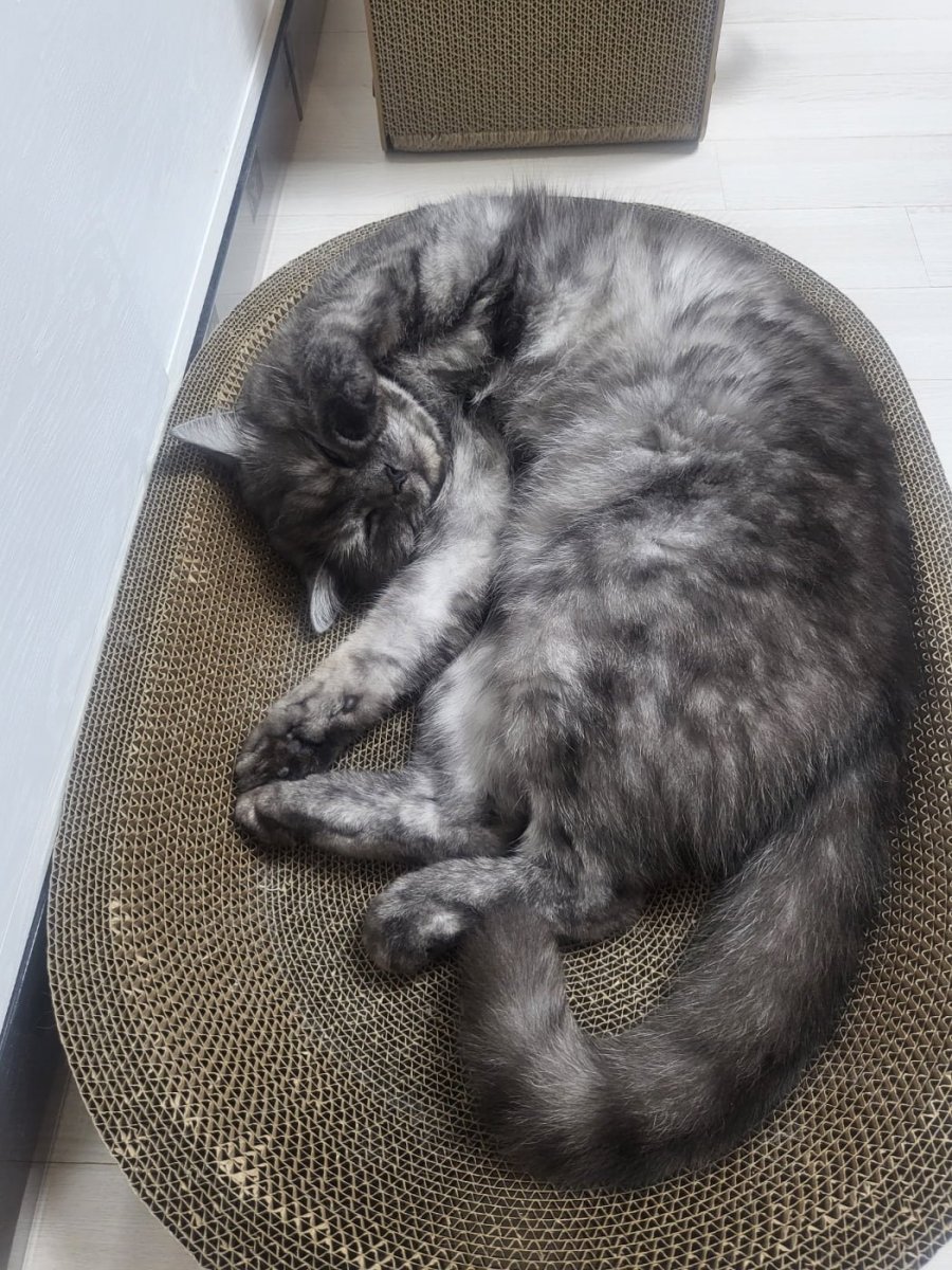 츮 