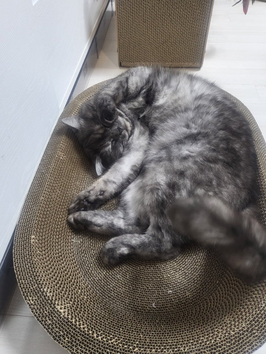 츮 