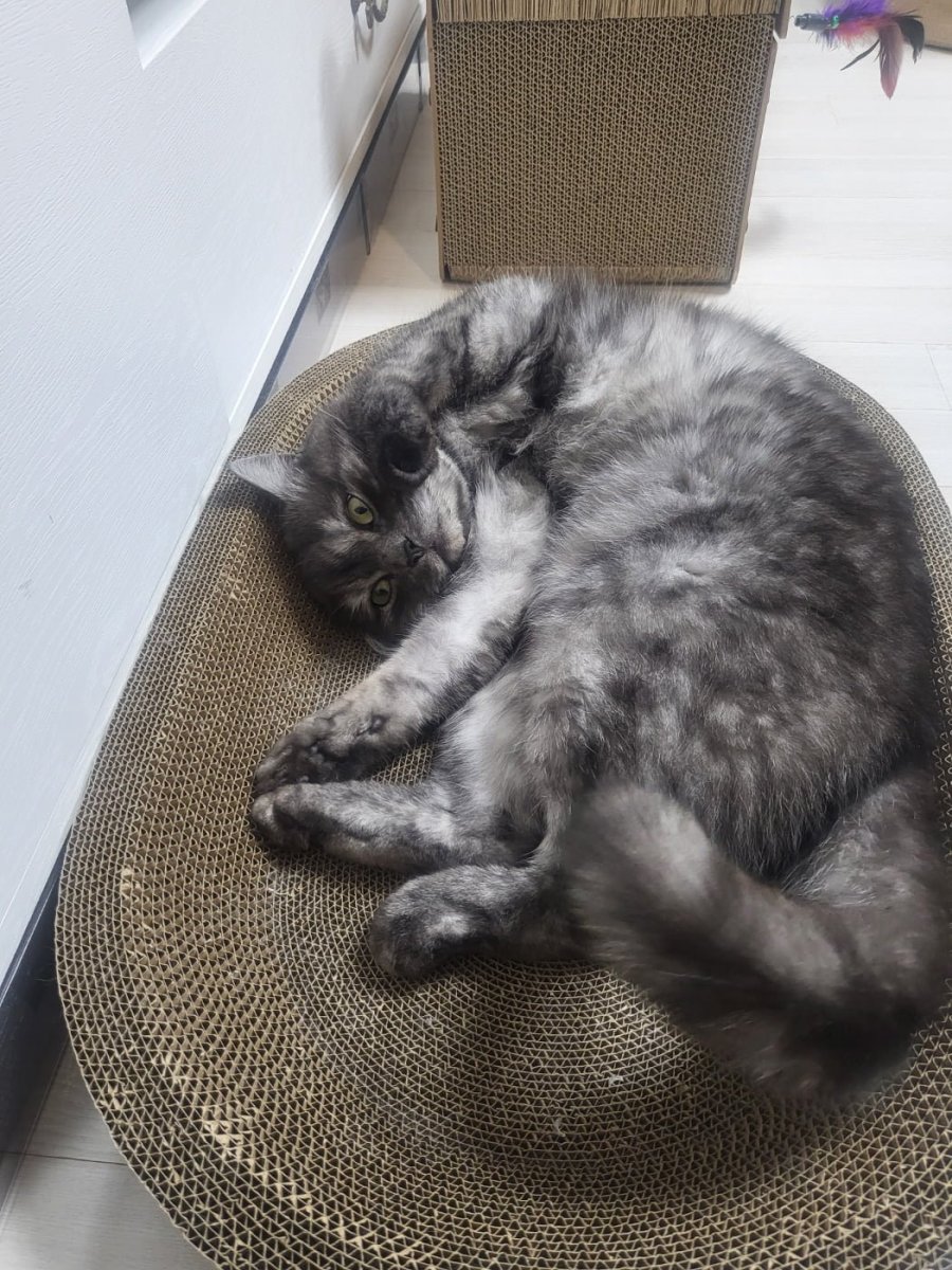 츮 